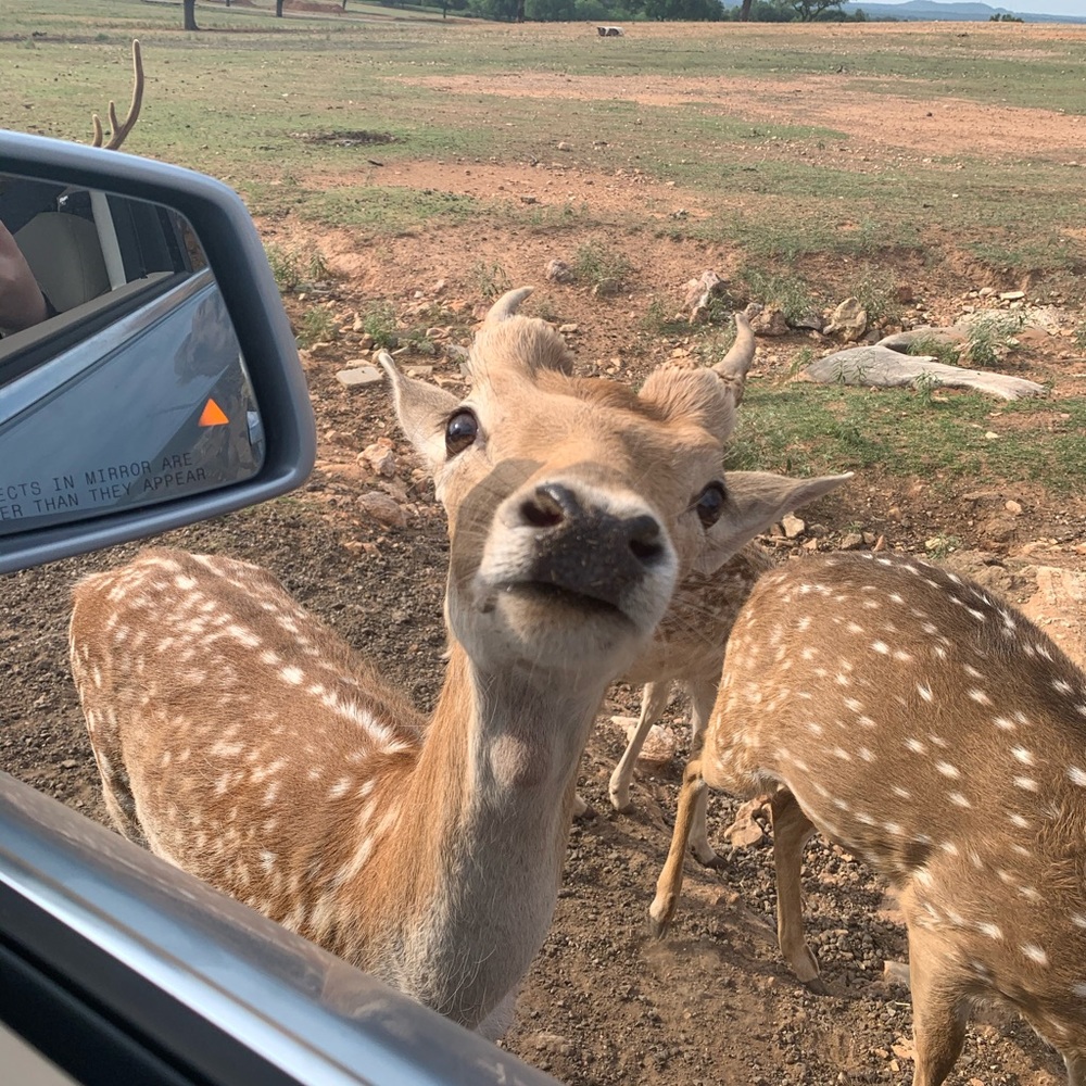 Meet your Posher, Leslie
